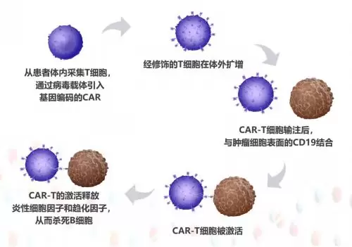 天价抗癌神药可能致癌，CAR-T疗法还安全吗？