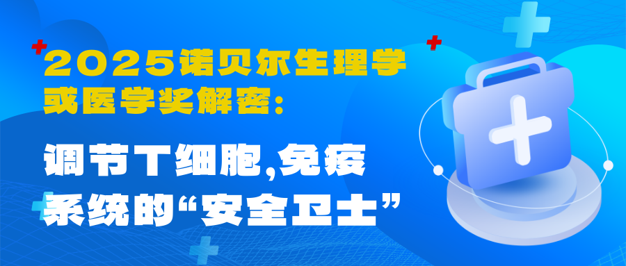 2025诺贝尔生理学或医学奖解密:调节T细胞,免疫系统的“安全卫士”