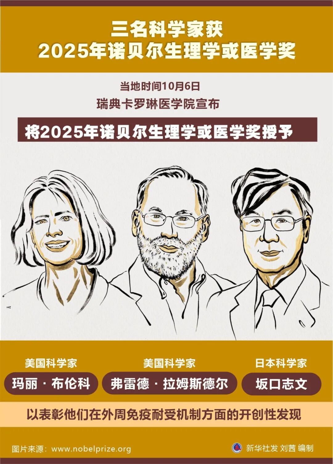 2025诺贝尔生理学或医学奖解密:调节T细胞,免疫系统的“安全卫士”