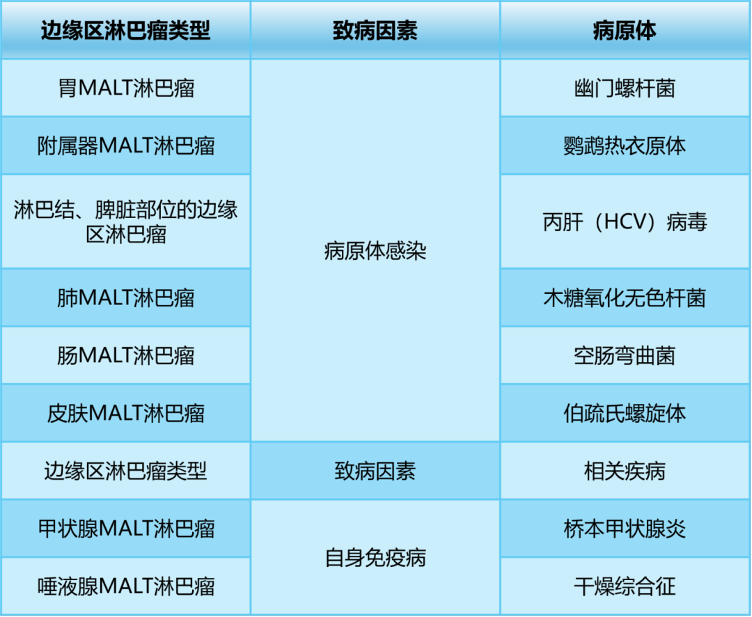 探秘边缘区淋巴瘤:病因、诊断与治疗新视角