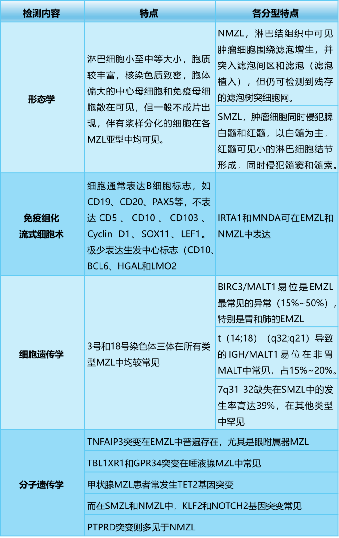 探秘边缘区淋巴瘤:病因、诊断与治疗新视角