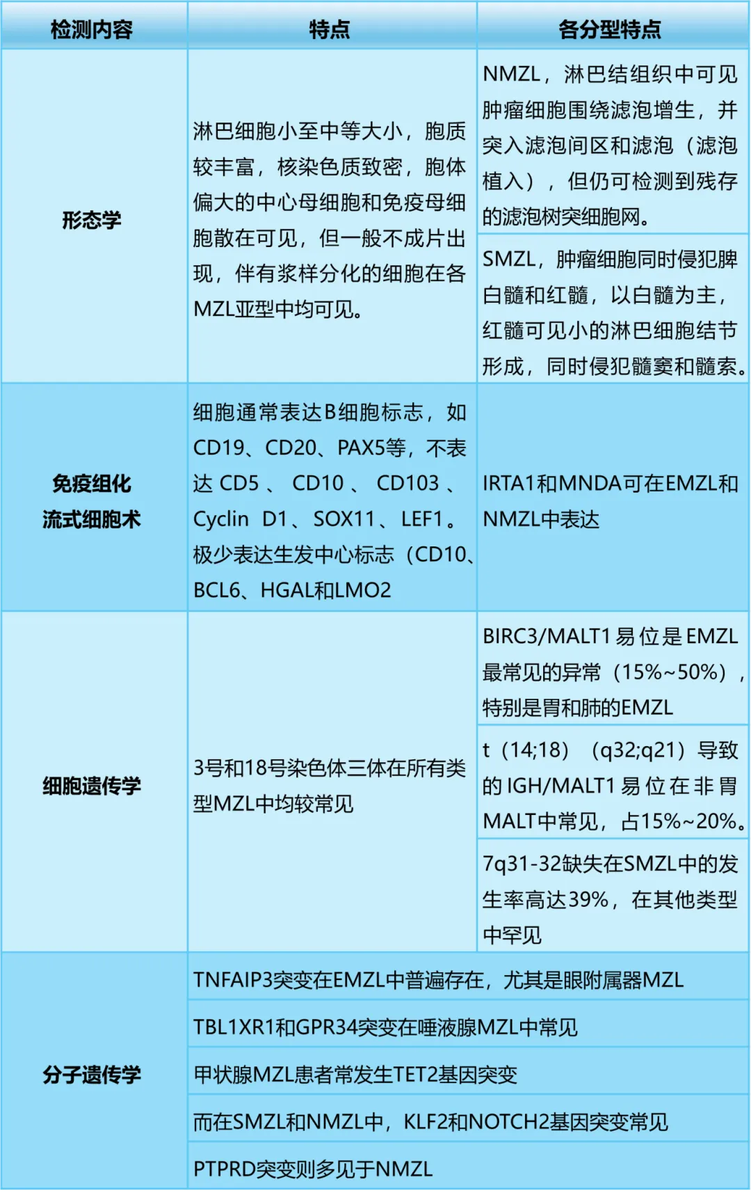 探秘边缘区淋巴瘤：病因、诊断与治疗新视角