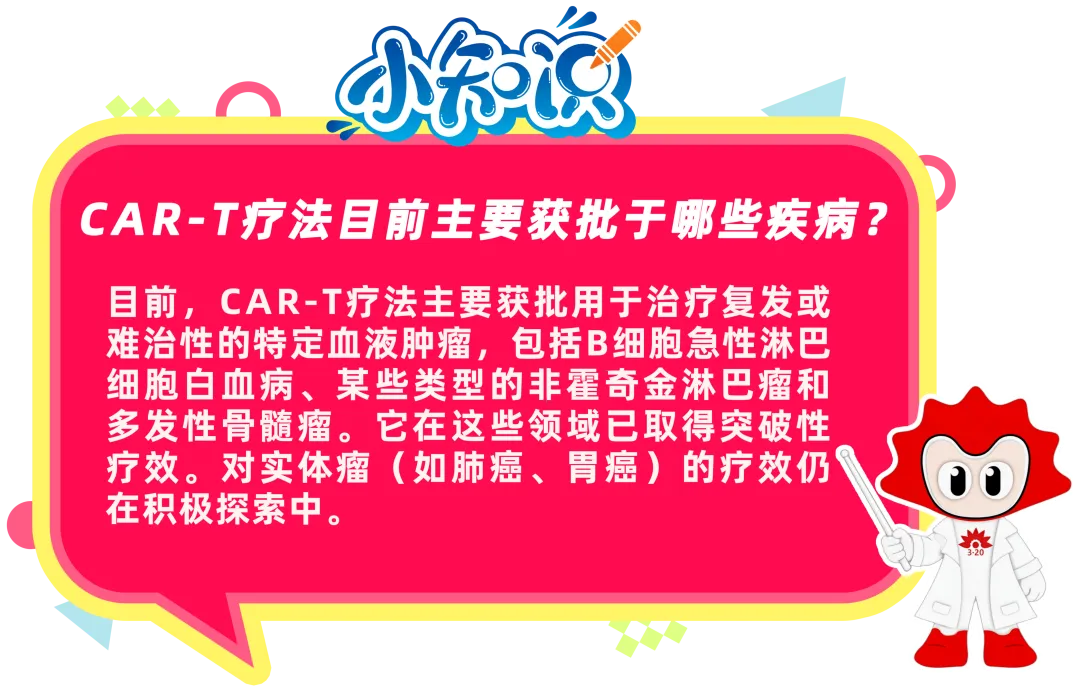 科普时间 | 当CAR-T疗法遇上HPV，宫颈癌治疗新前沿