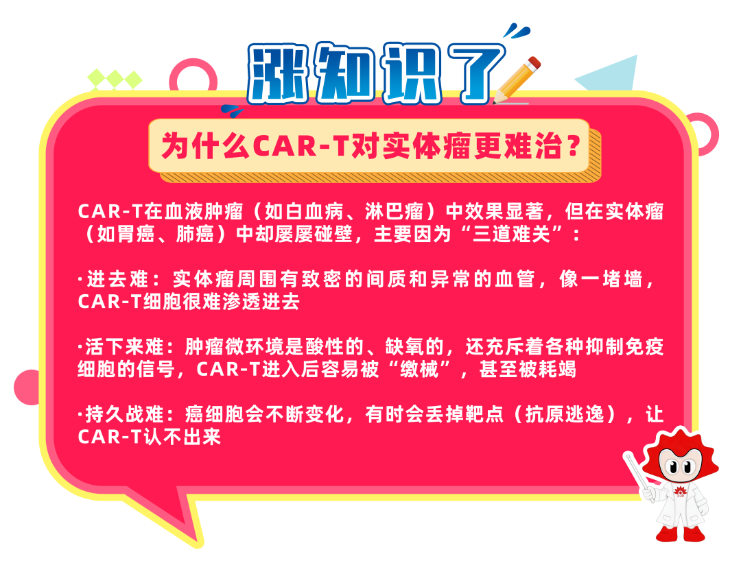 科普时间｜造血干细胞移植前先用CAR-T，能让效果变得更好吗？
