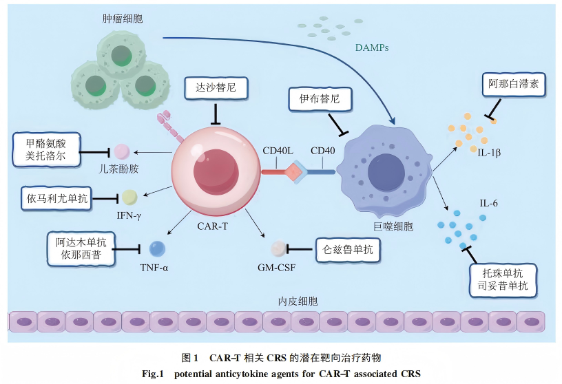 认识药物 | CAR-T治疗引起的“细胞因子释放综合征”怎么破？来看~有这些药物可以用