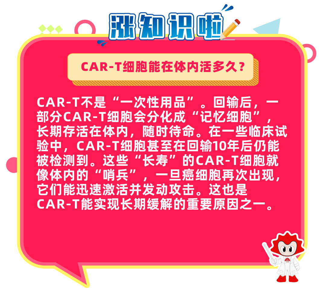 科普时间｜若是CAR-T治疗+造血干细胞移植同时进行......你猜效果如何？