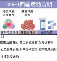 科普时间 | CAR-T细胞疗法的“全程管理”三部曲：回输后随访（三）