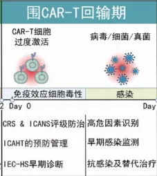 科普时间 | CAR-T细胞疗法的“全程管理”三部曲：回输期管理（二）
