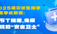 2025诺贝尔生理学或医学奖解密：调节T细胞，免疫系统的“安全卫士”