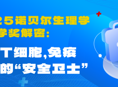2025诺贝尔生理学或医学奖解密：调节T细胞，免疫系统的“安全卫士”