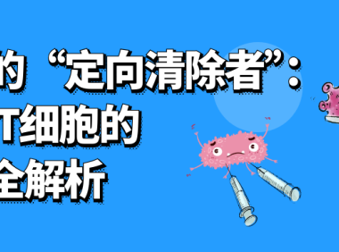 科普时间 | 肿瘤的“定向清除者”：CAR-T细胞的杀伤全解析