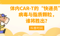 科普时间 | 体内CAR-T的“快递员”：病毒与脂质颗粒，谁将胜出？