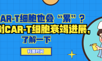 科普时间 | CAR-T细胞也会“累”？抑制CAR-T细胞衰竭进展，了解一下