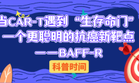 科普时间 | 当CAR-T遇到“生存命门”：一个更聪明的抗癌新靶点——BAFF-R