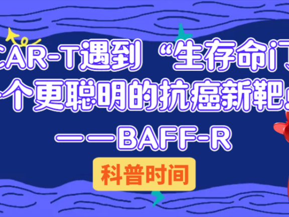 科普时间 | 当CAR-T遇到“生存命门”:一个更聪明的抗癌新靶点——BAFF-R
