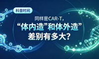 科普时间 | 同样是CAR-T，”体内造”和”体外造”差别有多大？