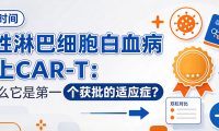 科普时间 | 急性淋巴细胞白血病遇上CAR-T：为什么它是第一个获批的适应症？