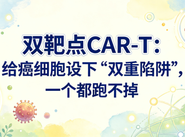 科普时间 | 双靶点CAR-T：给癌细胞设下”双重陷阱”，一个都跑不掉